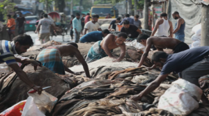 চামড়ার নামমাত্র দাম, ফেলে দিয়েছেন অনেকে