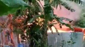 পাবনায় স্কুলছাত্রী রিয়া হত্যা: আসামির বাড়িতে আগুন, দগ্ধ ৩ জনের মৃত্যু