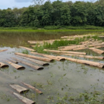 রাঙামাটিতে সেনাবাহিনীর দ্রুত অভিযানে ১৫ লাখ টাকার চুরি হওয়া গোল কাঠ উদ্ধার