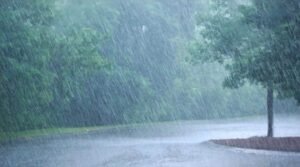 দেশের কিছু এলাকায় ভারি বৃষ্টির আভাস