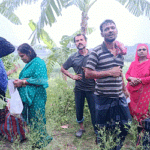 দর্শনা সীমান্তে ১১ জনকে পুশইনের চেষ্টা, প্রতিহত করল বিজিবি