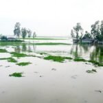 বাড়ছে তিস্তার পানি, বন্যার শঙ্কা