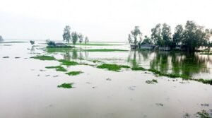 বাড়ছে তিস্তার পানি, বন্যার শঙ্কা