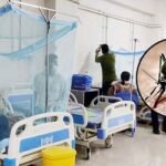 ডেঙ্গুতে আরও ৩ জনের মৃত্যু, নতুন রোগী ৪৬৭