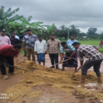 এমপি ওয়াদুদ ভূইয়ার নির্দেশে ক্ষতিগ্রস্ত গোমতি সড়ক মেরামত করলো বিএনপি নেতা জিয়াউর রহমান।