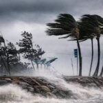১৭ জেলায় রাতের মধ্যে ঝড়ের আভাস
