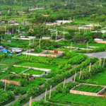 দ্বিতীয়বার উদ্বাস্তু হওয়ার আতঙ্কে পূর্বাচলের ভূমি মালিকরা