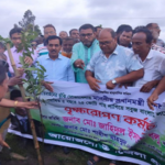 নওগাঁয় হামড়ার বিল-কৃষ্ণপুর খাল পাড়ে ১ হাজার বৃক্ষরোপণ কর্মসূচির উদ্বোধন করলেন এমপি ধলু