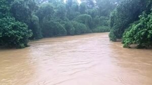 পাঁচ নদীর ৯ পয়েন্টে বিপৎসীমার ওপরে পানি