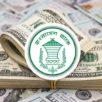 ২৯ দিনে এলো ৩২ হাজার ৮২৮ কোটি টাকার রেমিট্যান্স