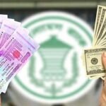 দেশের বাজারে ডলারের দাম কমল