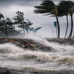 ৭ জেলায় ঝোড়ো হাওয়া ও বজ্রসহ বৃষ্টির আশঙ্কা