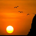 আজকের নামাজের সময়সূচি, ৫ আগস্ট, ২০২৬