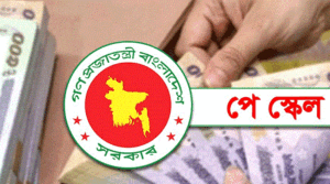 নতুন পে-স্কেল মন্ত্রিসভায় উঠতে পারে আজ