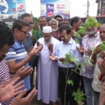 নওগাঁয় সৌন্দয্যবর্ধন গাছের চারা রোপনের উদ্বোধন