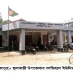 ফুলবাড়ীর দৌলতপুরে বাড়ীতে ঢুকে লুটপাট ও মারপিট, থানায় অভিযোগ॥