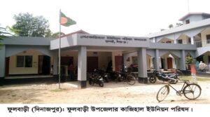 ফুলবাড়ীর দৌলতপুরে বাড়ীতে ঢুকে লুটপাট ও মারপিট, থানায় অভিযোগ॥