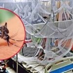 খুলনা বিভাগে এক দিনে রেকর্ড ৩৩৪ ডেঙ্গু রোগী হাসপাতালে ভর্তি
