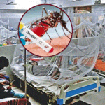 ডেঙ্গুতে আরও ৬ জনের মৃত্যু, হাসপাতালে ১৫৯৩