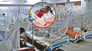 ডেঙ্গুতে আরও ৬ জনের মৃত্যু, হাসপাতালে ১৫৯৩