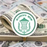 ১৯ দিনে এলো ২৩ হাজার ৮৭ কোটি টাকার রেমিট্যান্স