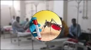 ২৪ ঘণ্টায় ডেঙ্গু কেড়ে নিল ৬ প্রাণ, মৃত্যু ২০০ ছাড়াল