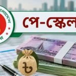 মন্ত্রিসভায় অনুমোদনের পরও কেন আটকে আছে প্রজ্ঞাপন?
