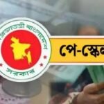 নতুন পে স্কেল বাস্তবায়নে হবে ৭ পৃথক এসআরও, সরকারি চাকরিজীবীরা কে কোন ক্যাটাগরিতে