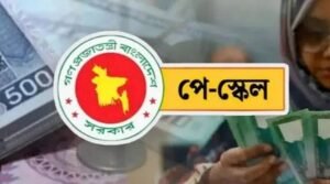 নতুন পে স্কেল বাস্তবায়নে হবে ৭ পৃথক এসআরও, সরকারি চাকরিজীবীরা কে কোন ক্যাটাগরিতে