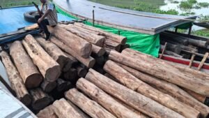 পাহাড়ে সিন্ডিকেট চক্র কর্তৃক উজাড় হচ্ছে বনাঞ্চল; রাঙামাটিতে সাড়ে ৩ হাজার ঘনফুট কাঠ জব্দ