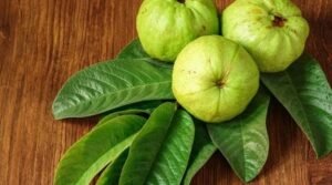 প্রতিদিন একটা করে পেয়ারা খেলে শরীরে কী হয়?