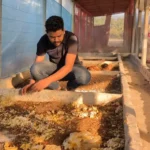হাঁসের খামারের লোকসান ভুলে পোকা চাষে সাফল্য, মাসে আয় ২ লাখ