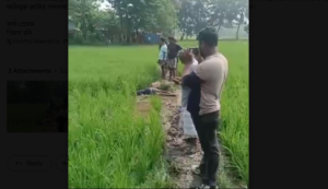 নোয়াখালীতে ইঁদুর মারার বৈদ্যুতিক ফাঁদে প্রাণ গেল কৃষকের